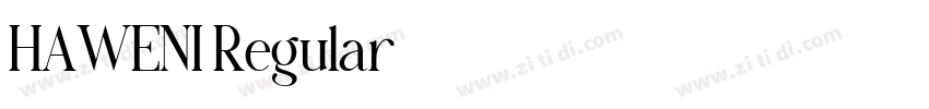HAWENI Regular字体转换